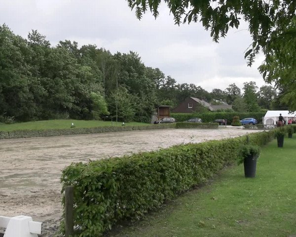 Reitturnier Olfen-Vinnum 2023