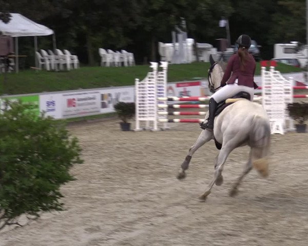 Reitturnier Nettetal-Lobberich 2023