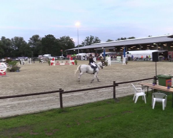 Reitturnier Nettetal-Lobberich 2023