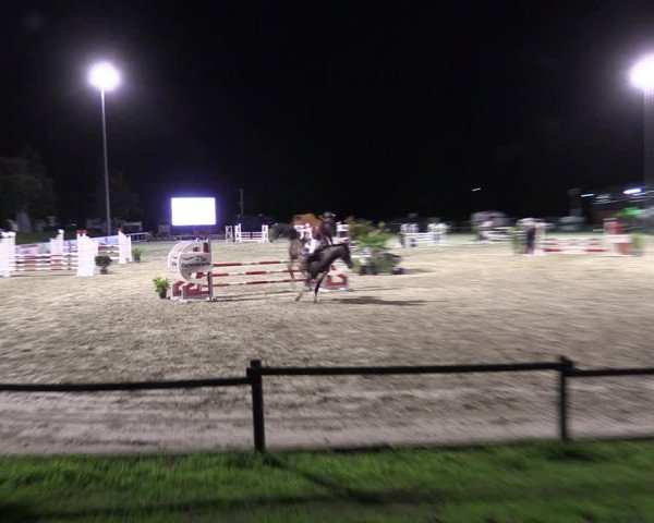 Reitturnier Nettetal-Lobberich 2023