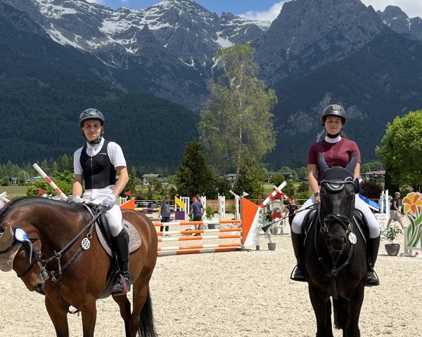 Springpferd Kilkenny 58 (Deutsches Sportpferd, 2015, von Kannan)