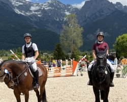 jumper Kilkenny 58 (German Sport Horse, 2015, from Kannan)