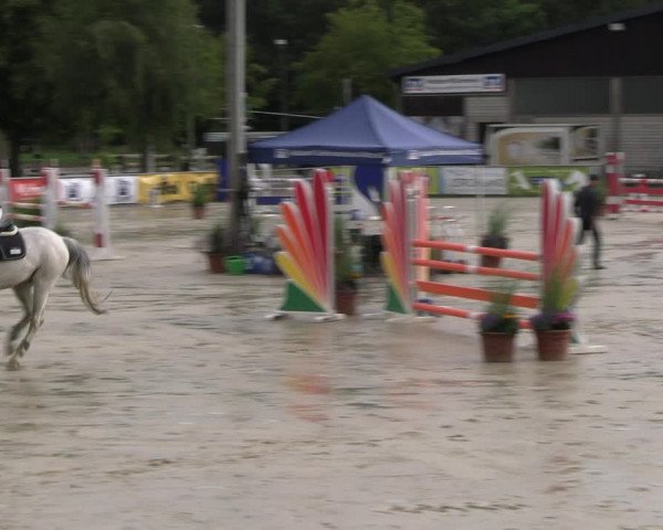 Reitturnier Olfen-Vinnum 2023