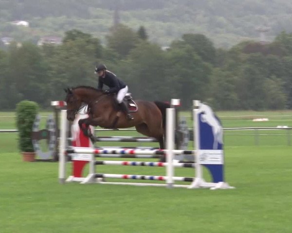 Reitturnier Bad Kissingen 2023
