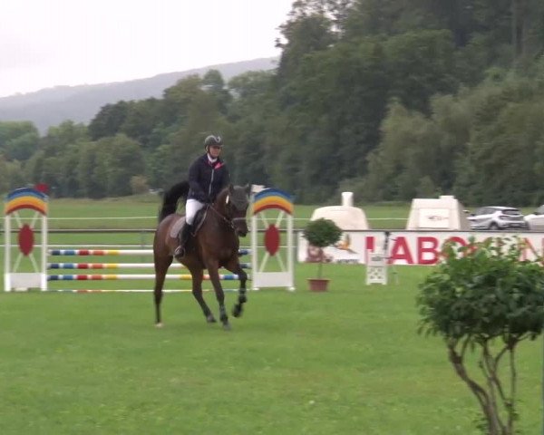 Reitturnier Bad Kissingen 2023