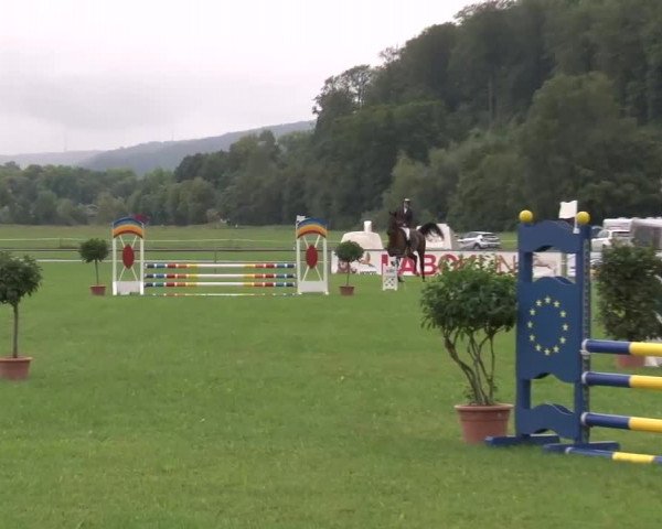 Reitturnier Bad Kissingen 2023
