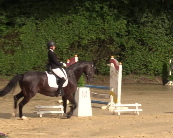 Reitturnier Arnsberg-Holzen 2023