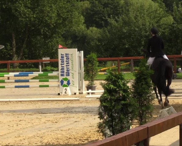 Reitturnier Arnsberg-Holzen 2023