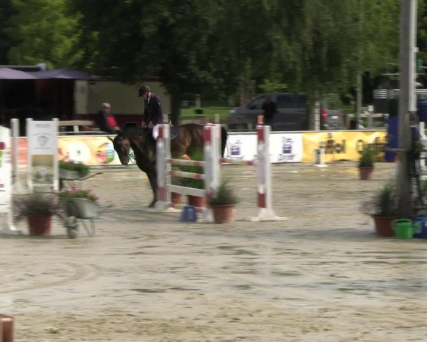 Reitturnier Olfen-Vinnum 2023