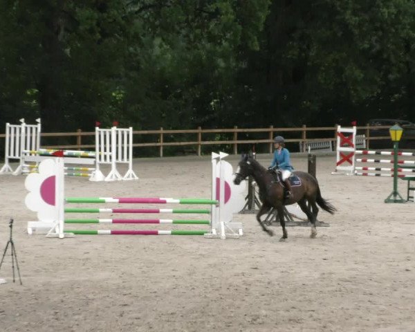 Reitturnier Alvern 2023