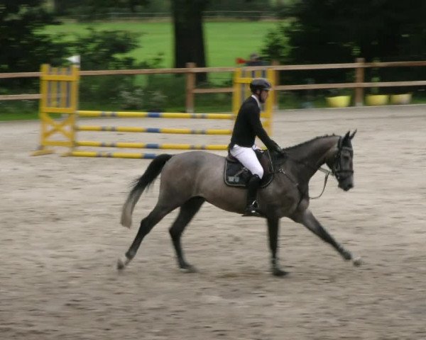 Reitturnier Alvern 2023