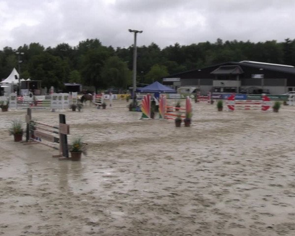 Reitturnier Olfen-Vinnum 2023