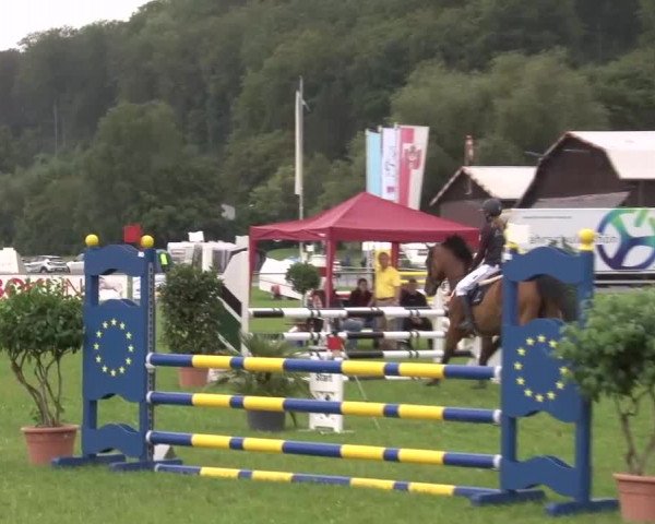Reitturnier Bad Kissingen 2023