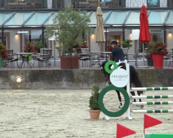 Erntedank Springturnier Nörten-Hardenberg 2021