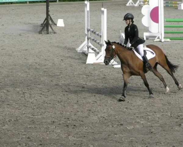 Reitturnier Alvern 2023