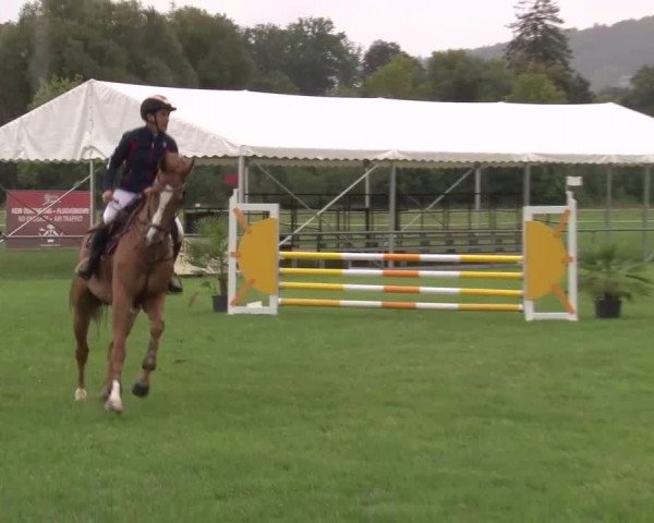 Reitturnier Bad Kissingen 2023