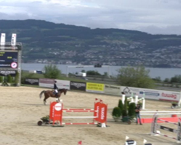 Reitturnier Wädenswil 2023