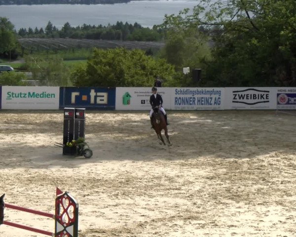 Reitturnier Wädenswil 2023