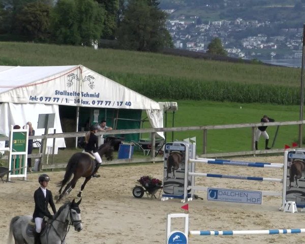 Reitturnier Wädenswil 2023