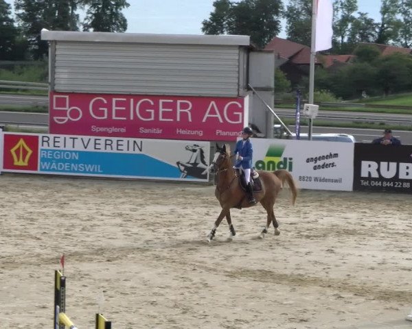 Reitturnier Wädenswil 2023