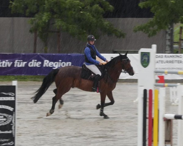 Reitturnier Groß-Zimmern 2023