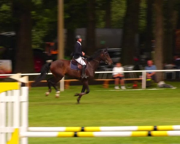 Reitturnier Zobbenitz 2023