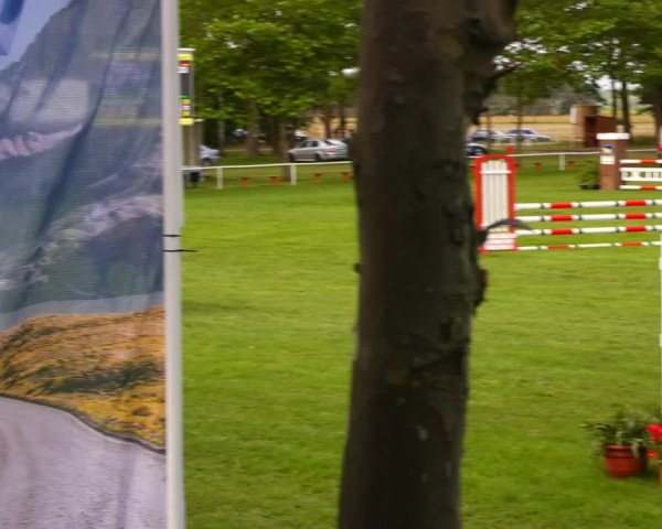 Reitturnier Zobbenitz 2023