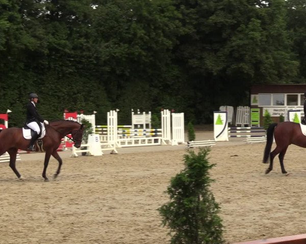 Reitturnier Arnsberg-Holzen 2023