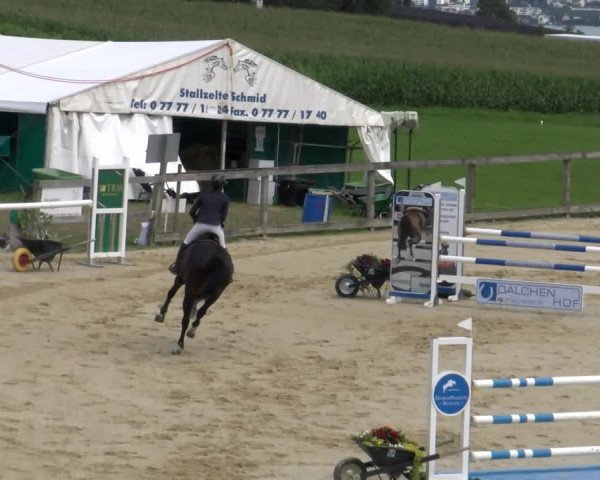 Reitturnier Wädenswil 2023