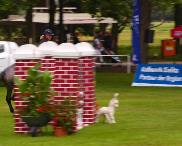 Reitturnier Zobbenitz 2023