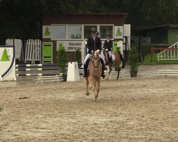 Reitturnier Arnsberg-Holzen 2023