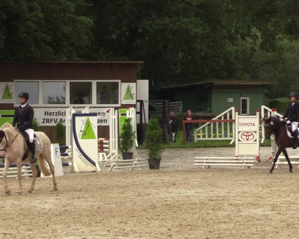 Reitturnier Arnsberg-Holzen 2023