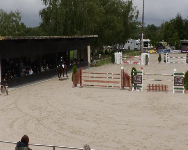 Reitturnier Groß-Zimmern 2023
