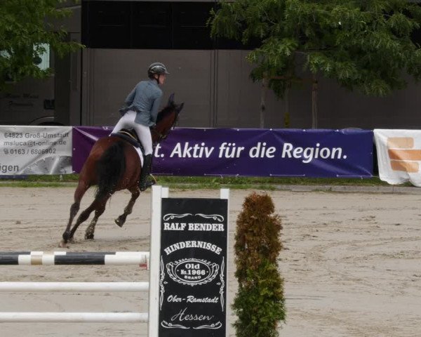 Reitturnier Groß-Zimmern 2023