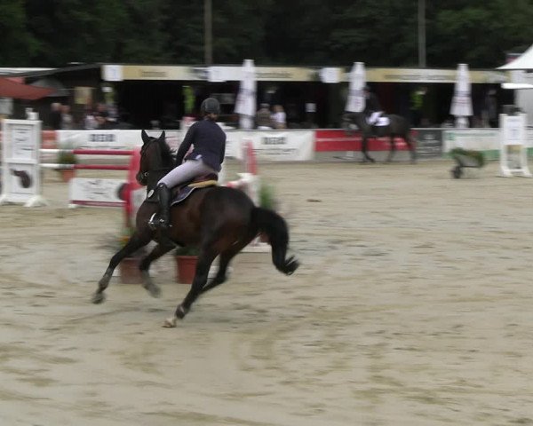 Reitturnier Olfen-Vinnum 2023