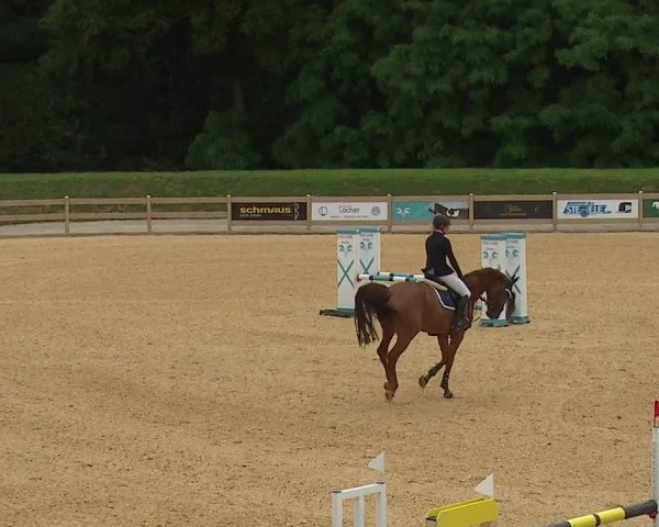 Reitturnier Tiefenhof 2023