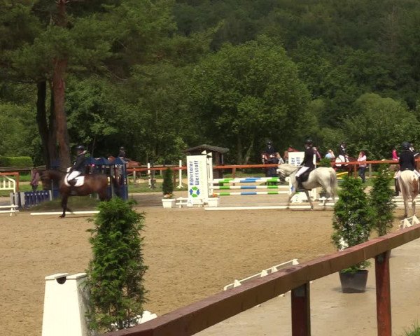 Reitturnier Arnsberg-Holzen 2023