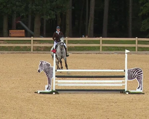 Reitturnier Tiefenhof 2023