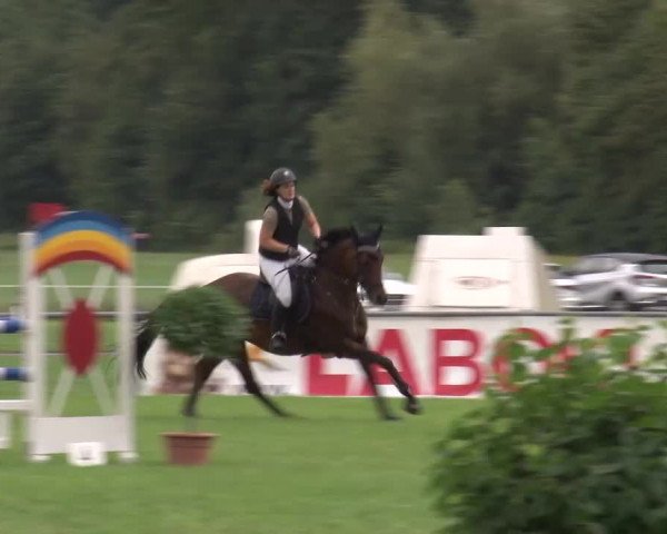 Reitturnier Bad Kissingen 2023