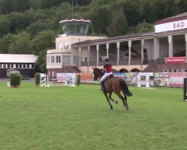 Reitturnier Bad Kissingen 2023