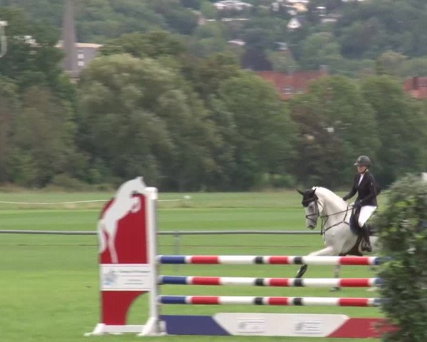 Reitturnier Bad Kissingen 2023