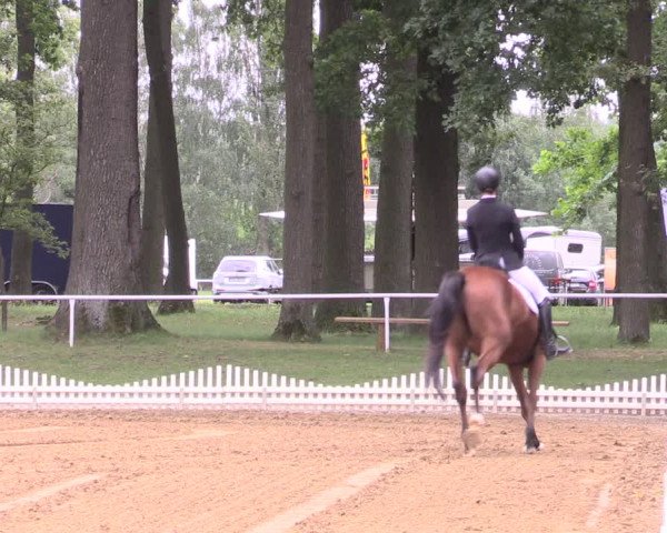 Reitturnier Zobbenitz 2023