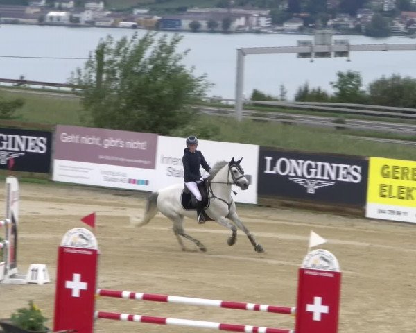 Reitturnier Wädenswil 2023