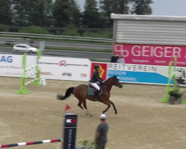Reitturnier Wädenswil 2023