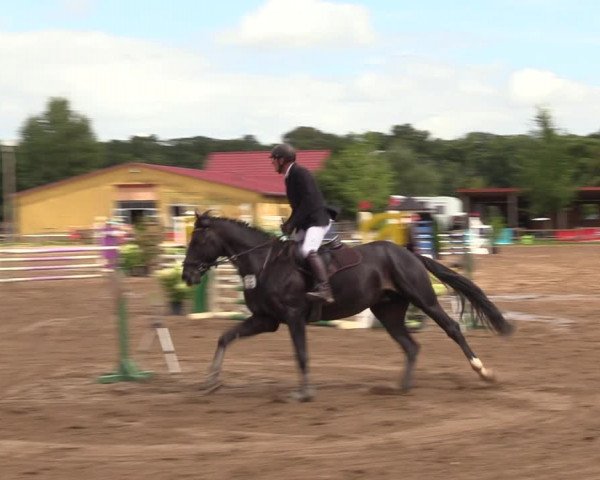 Reitturnier Altlandsberg 2023