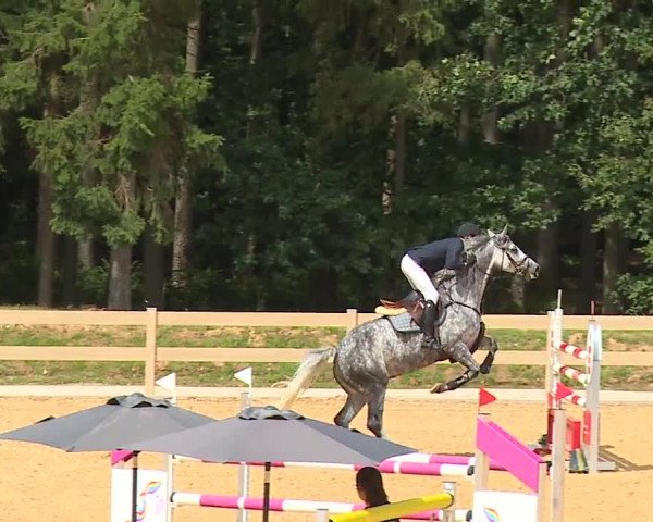 Reitturnier Tiefenhof 2023