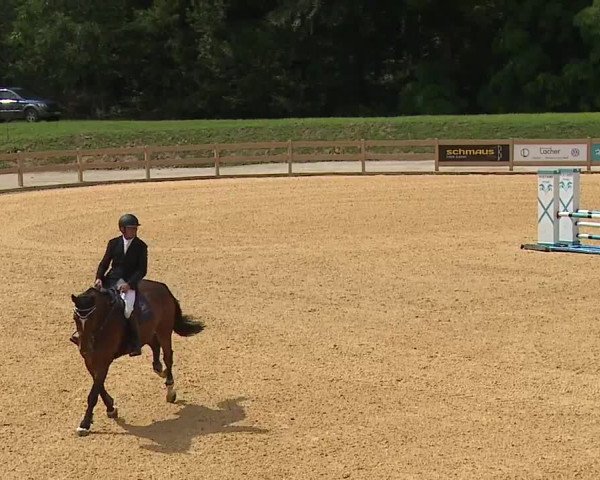 Reitturnier Tiefenhof 2023