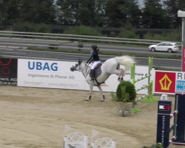 Reitturnier Wädenswil 2023