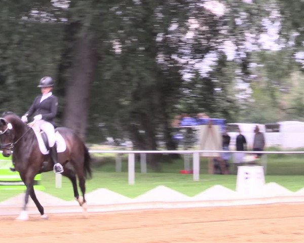 Reitturnier Zobbenitz 2023