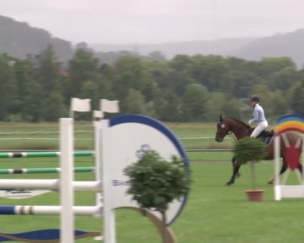Reitturnier Bad Kissingen 2023